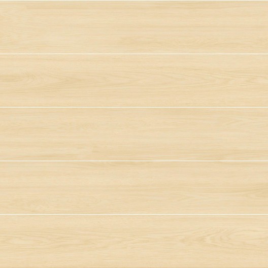 GF210956